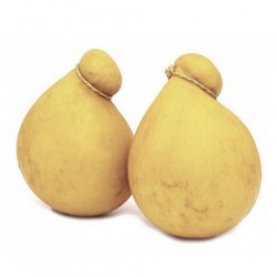 P.A.T. Raw milk Caciocavallo di Agnone