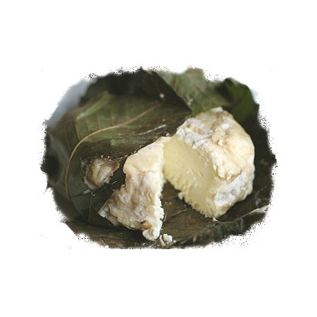 Goat milk Robiola in leek or chestnut leaves