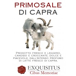Goat Primosale (soft cheese)