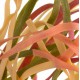Tagliatelle primavera