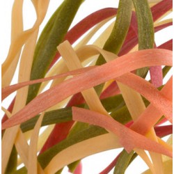 Multicoloured tagliatelle