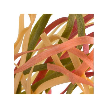 Multicoloured tagliatelle