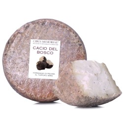 "Cacio del bosco", pecorino with truffle